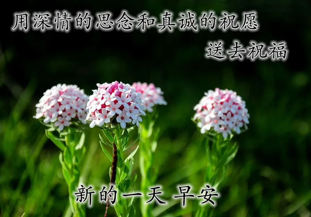 描述文字